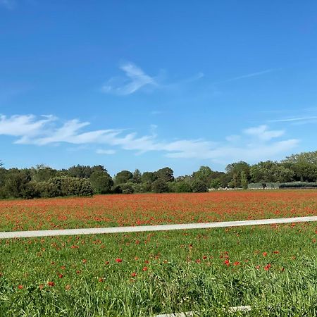 Le Gite Des Poiriers Uzes Ngoại thất bức ảnh